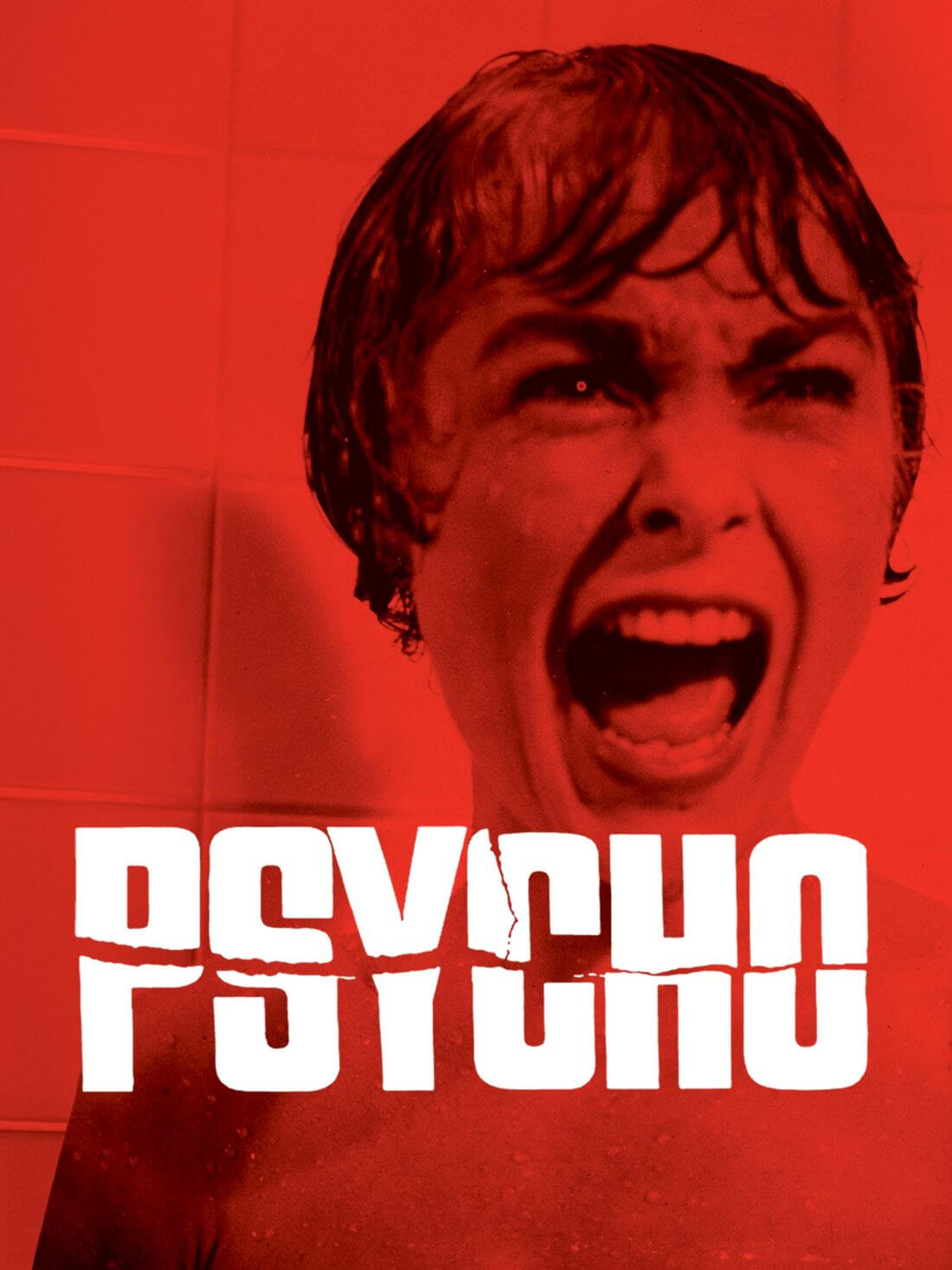 Psycho JanetLeigh AlfredHitchcockClassicHorrorSuspenseMovie HollywoodMovieArtPoster be24b64f ad2f 4b00 a0d4 3851a19f2361 - SK8 The Infinity Merch